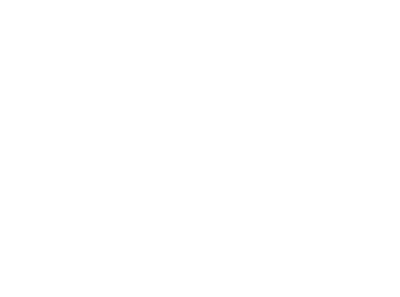 icepower_logo_WHITE small-2